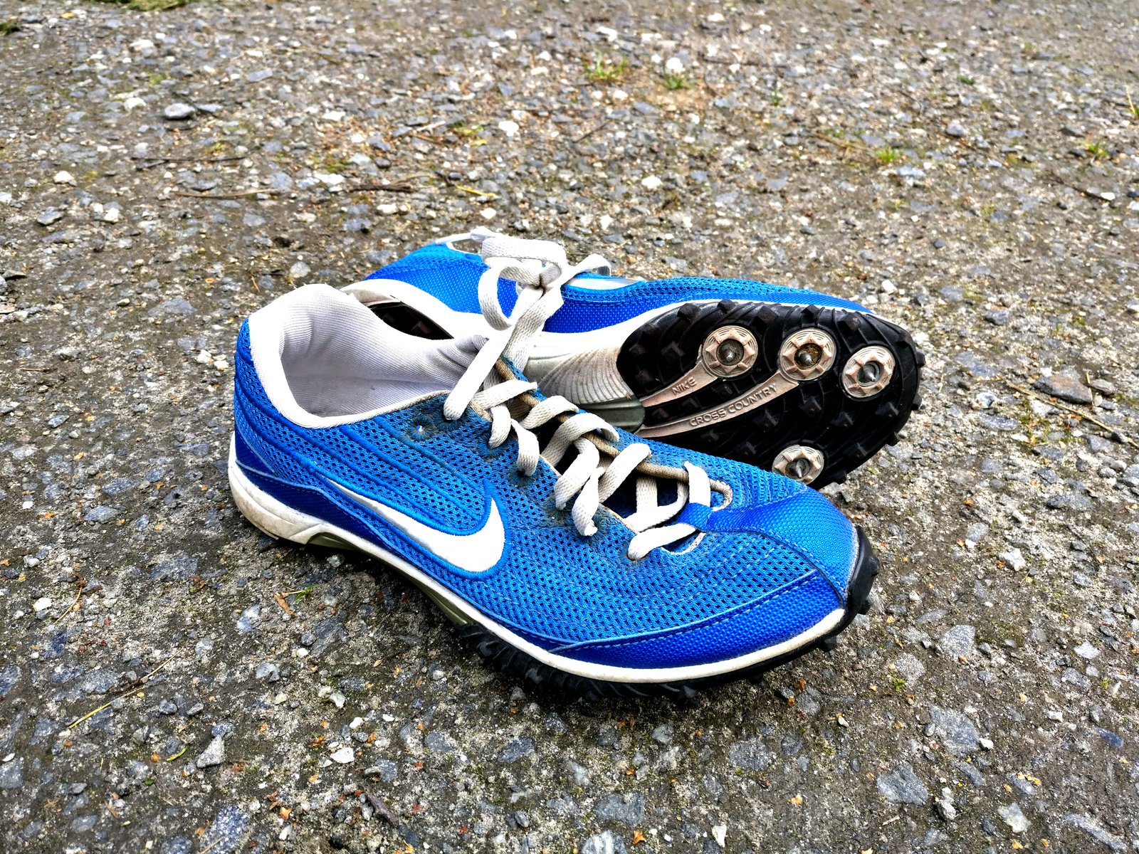 Cricket shoe with replaceable metal studs