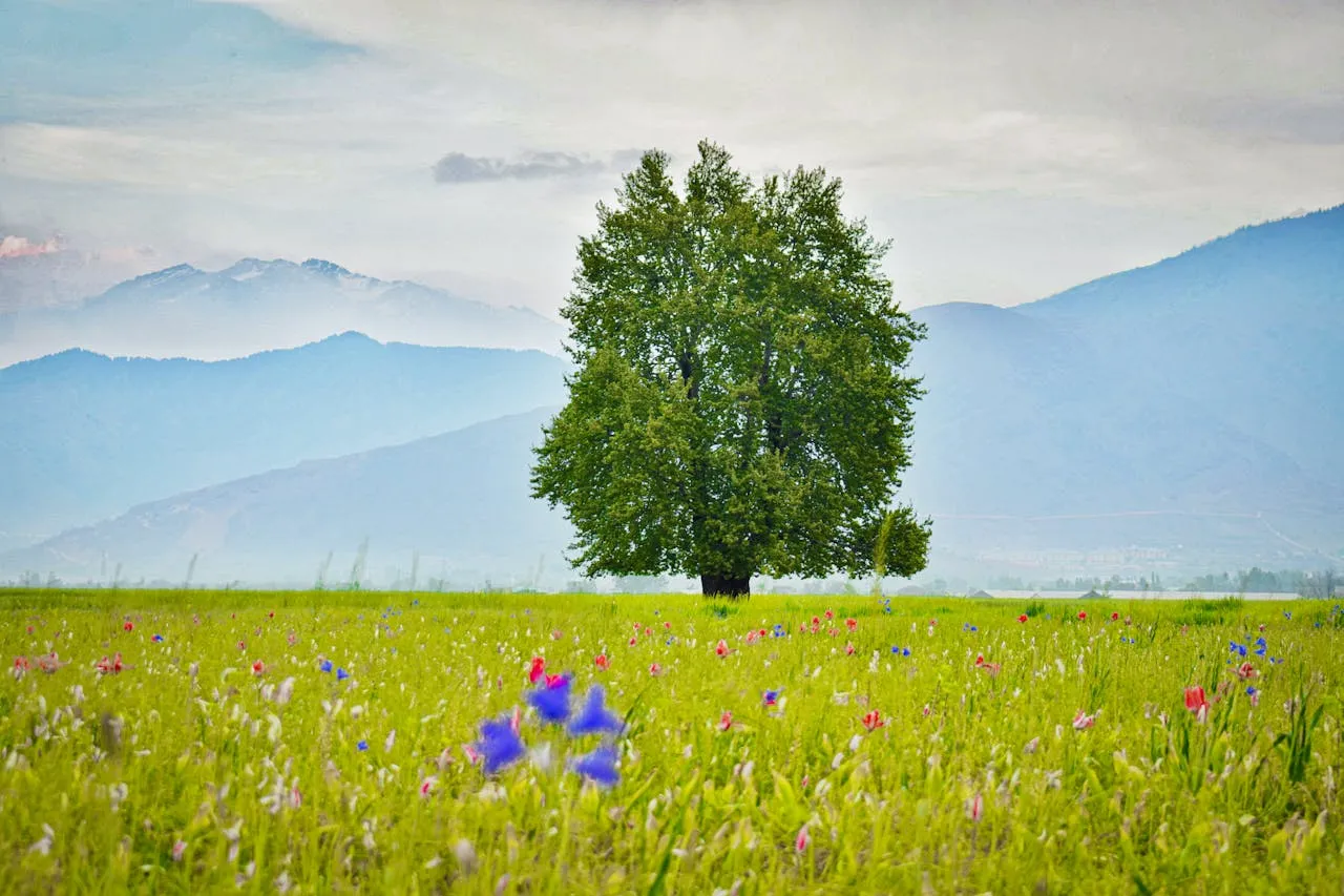 DISCOVER PARADISE ON EARTH