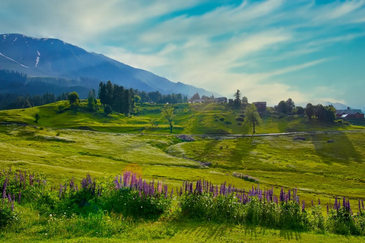 Aru Valley