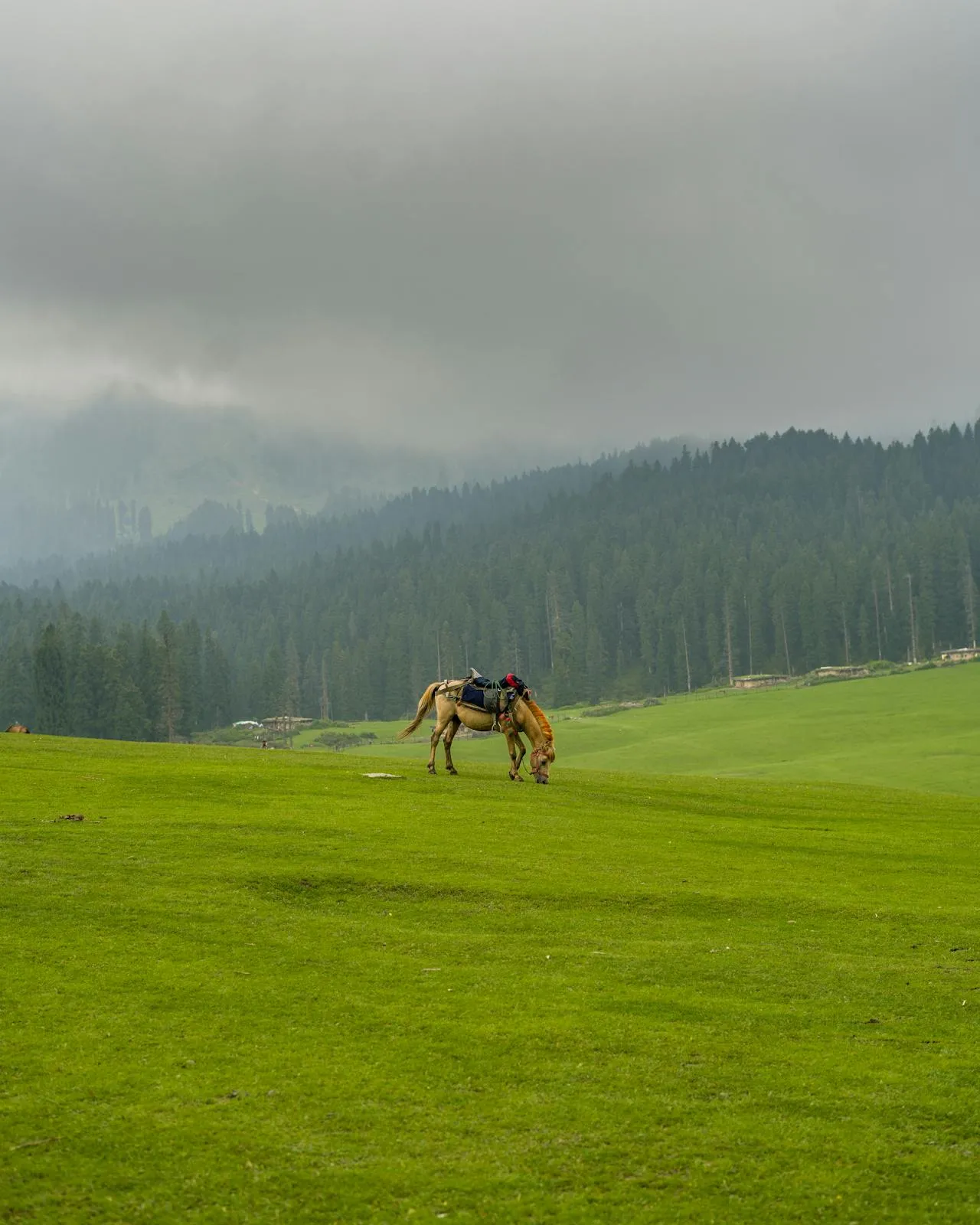 Yusmarg Trek