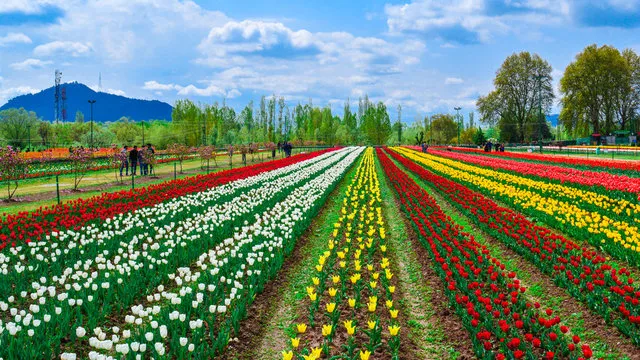 Indira Gandhi Tulip Garden