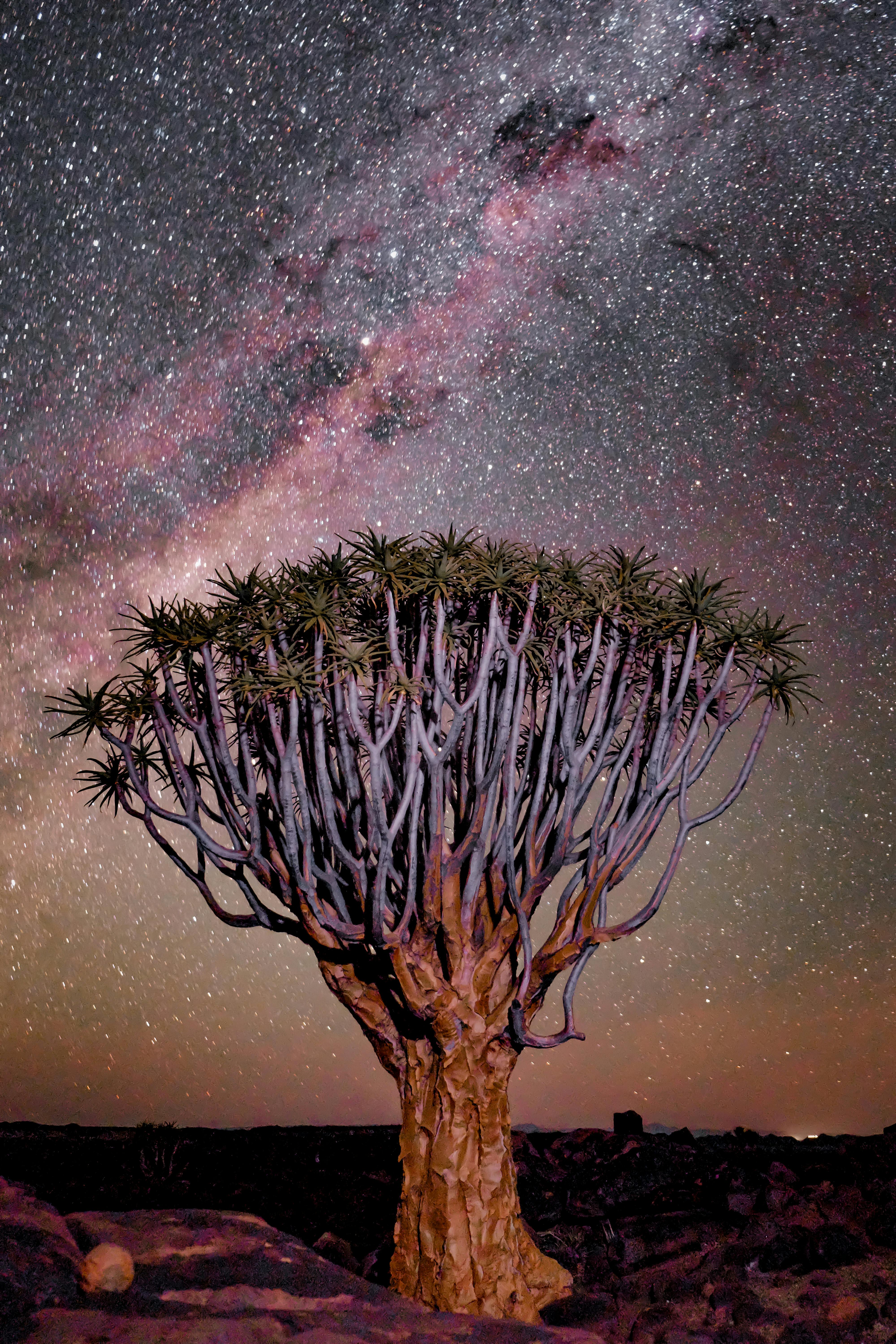 Africa – History, Geography & Cultural Legacy of the Cradle of Humanity