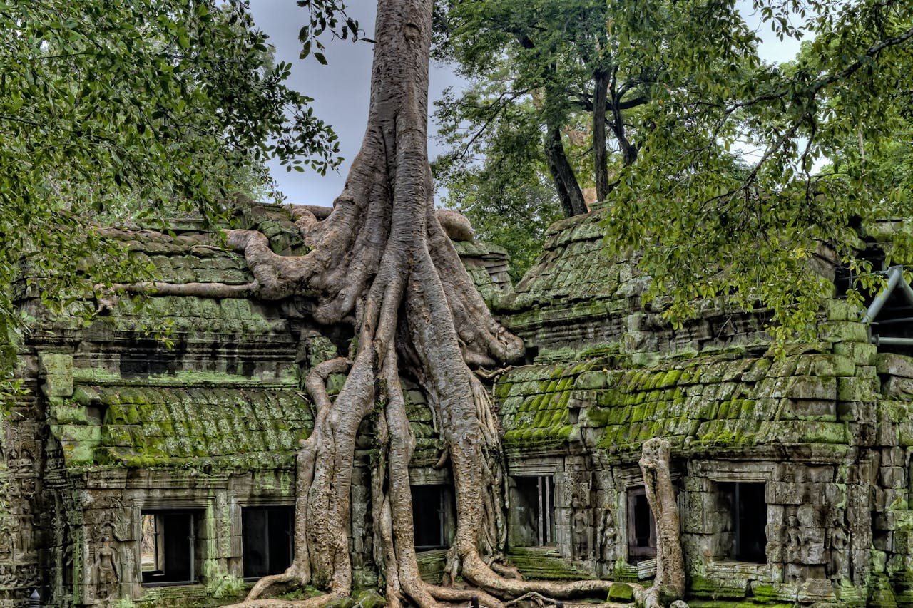 Cambodia Travel Guide – Explore Angkor Wat, Phnom Penh & Floating Villages