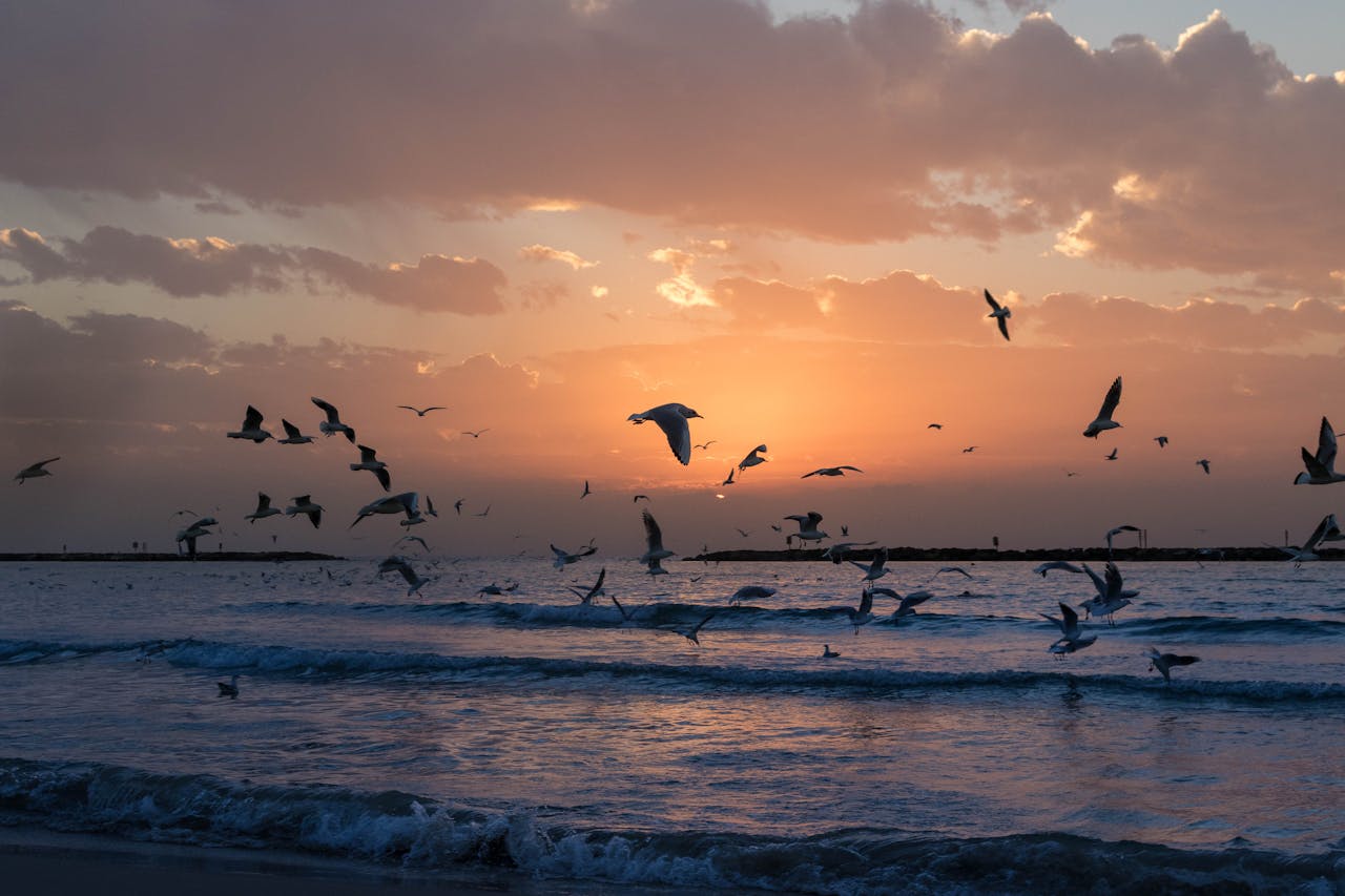 Israel Travel Guide – Sacred Sites, Tel Aviv, and Political Reality