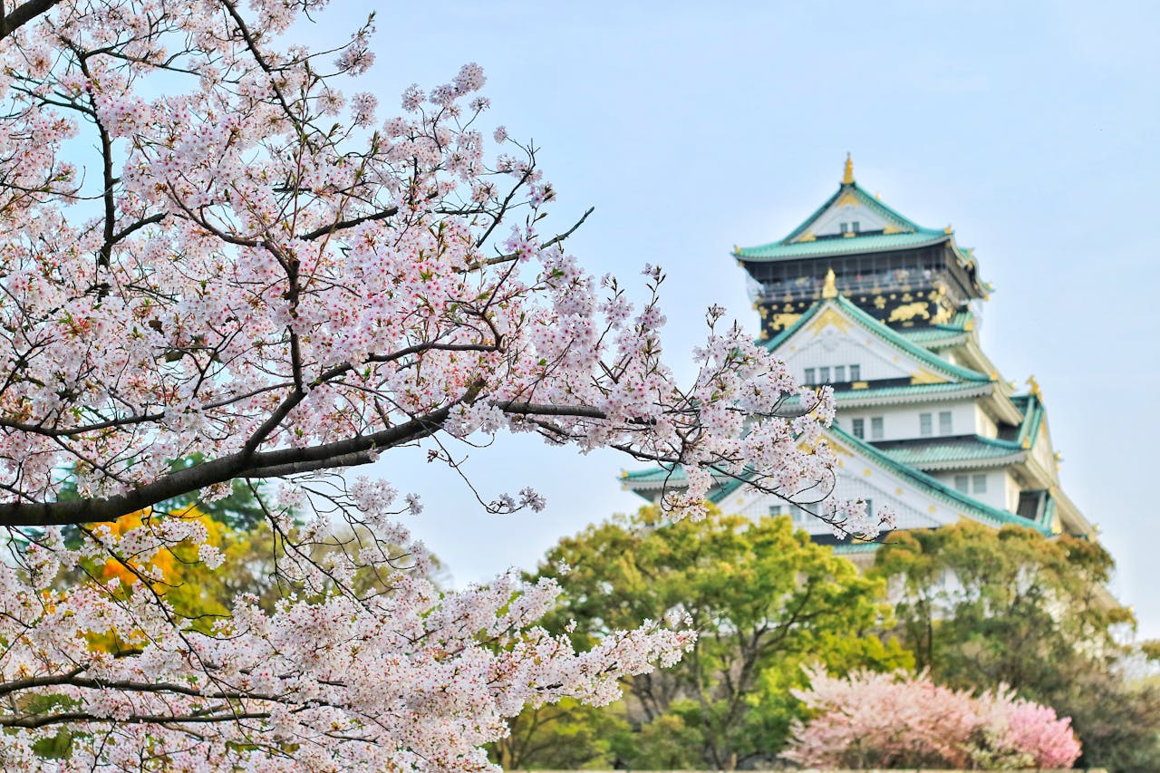 Japan Travel Guide – Culture, Cuisine & Cherry Blossoms