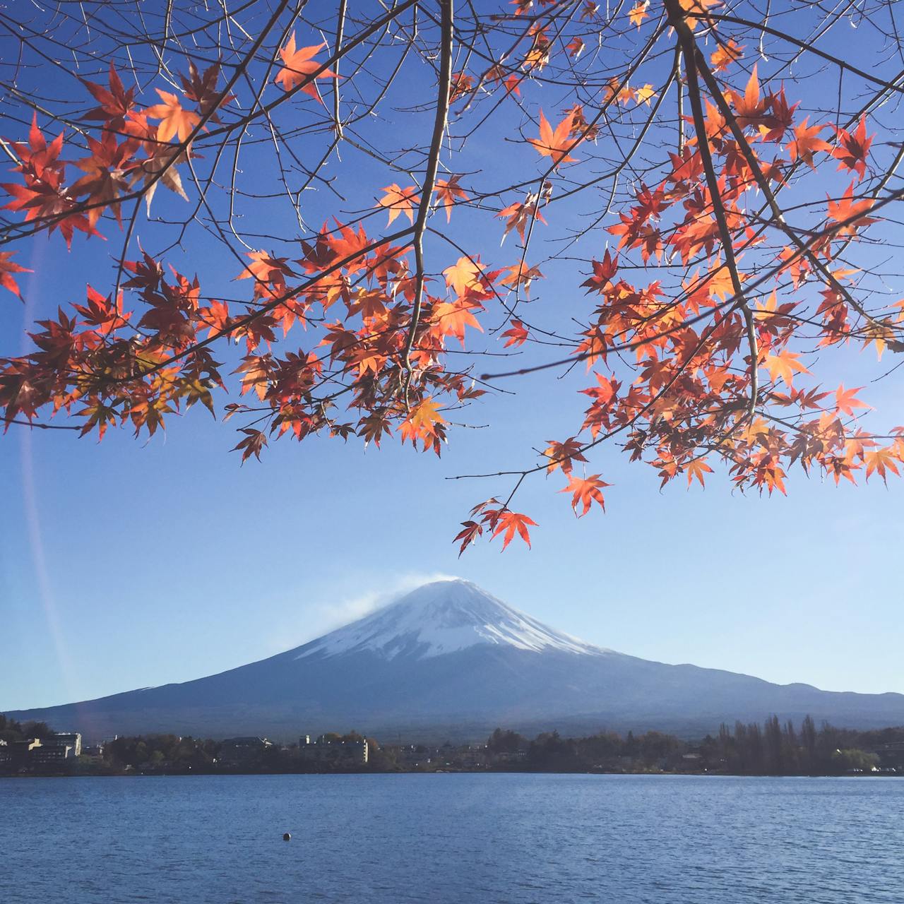 Japan Travel Guide – Culture, Cuisine & Cherry Blossoms