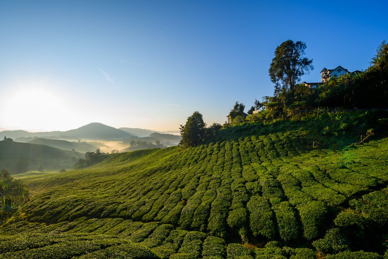 Malaysia Travel Guide – Islands, Food, Cities & Culture 2025
