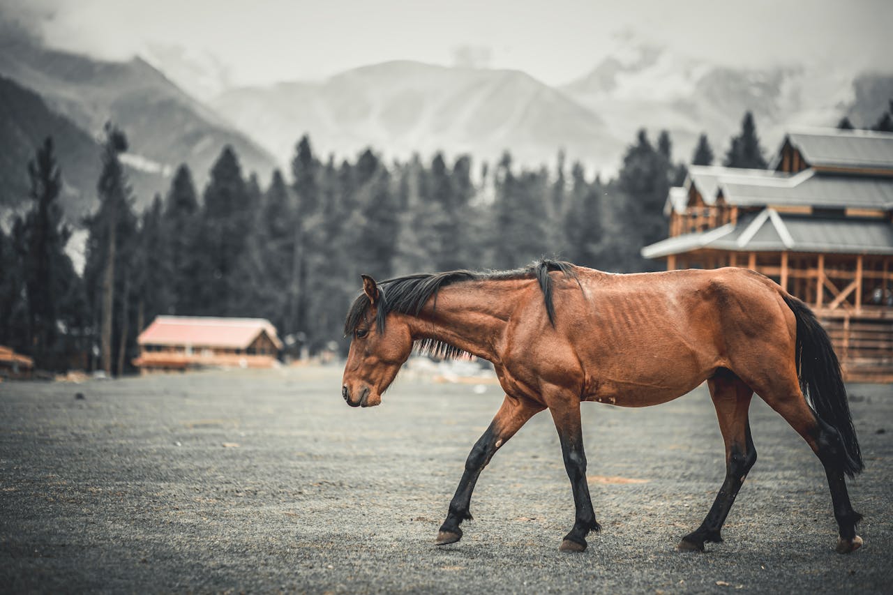 Pakistan Travel Guide – Himalayas, History & Heartwarming Hospitality