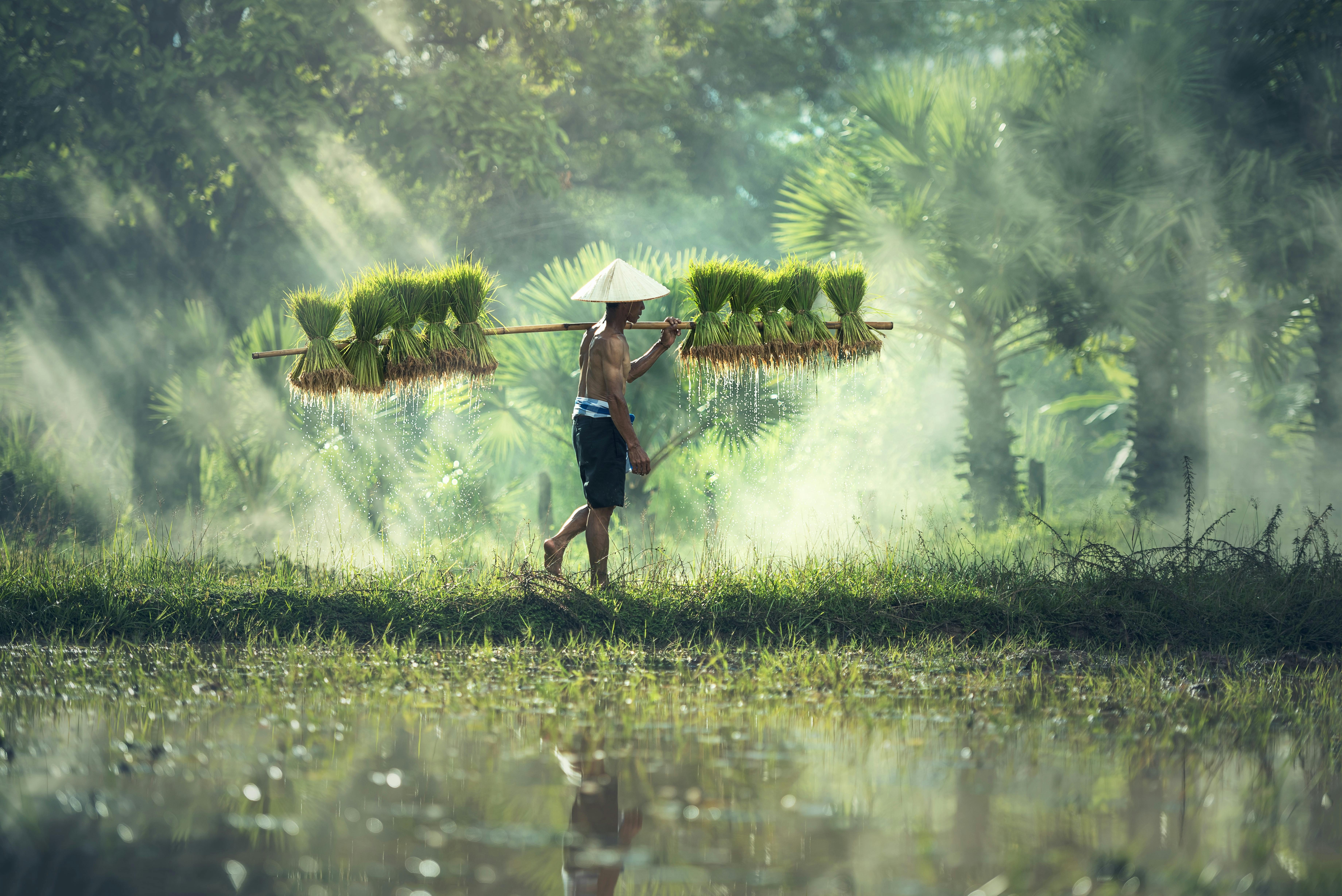Asia Continent – History, Geography, Culture, and Economy