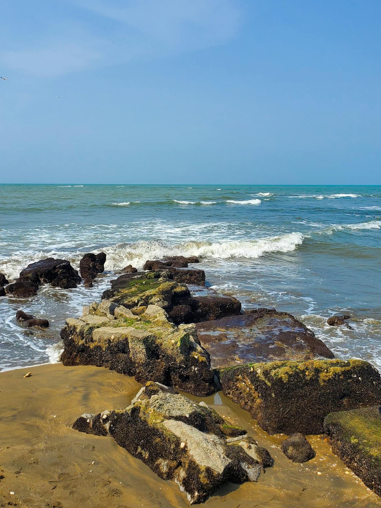 Yemen Travel Guide – Discover Ancient Arabia & Socotra Island